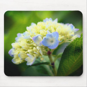 Soft Hydrangea Flower Mouse Mat