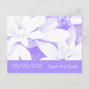 Soft Leaves Purple stripe Save the Date postcard