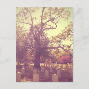 Soft Light Graveyard Postcard