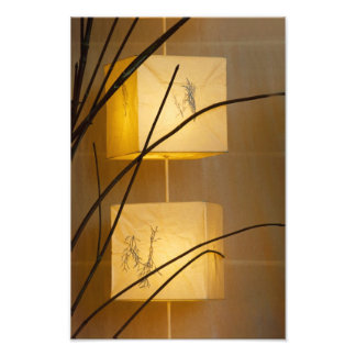 Soft Light. Photo Print