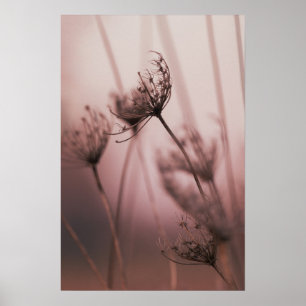 Soft Light Wild Flower Seed Heads Poster