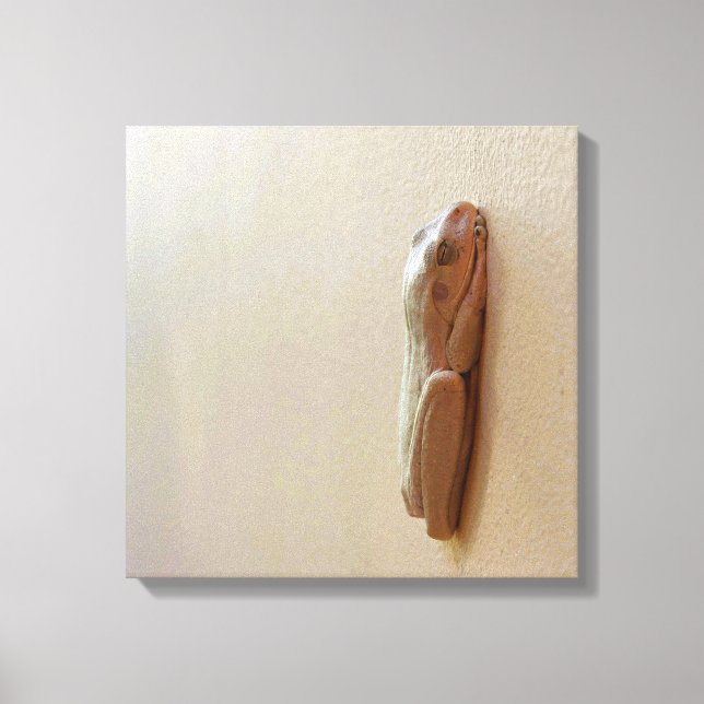 Soft Milk Frog on Stretched Canvas Print (Front)