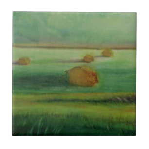 Soft Morning Light Hay in Field Tile