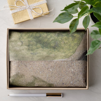 Soft Mottled Beach Rock Towoon Bay Tissue Paper