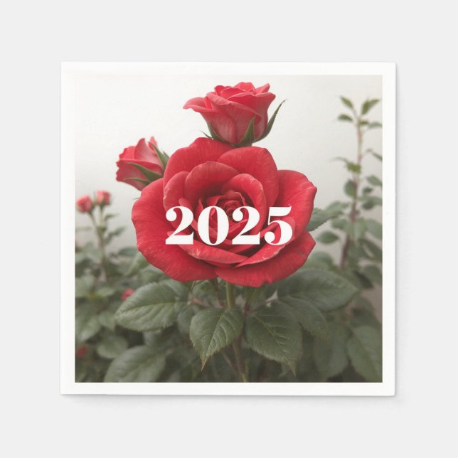  Soft napkin  party napkins  new year gift  (Front)