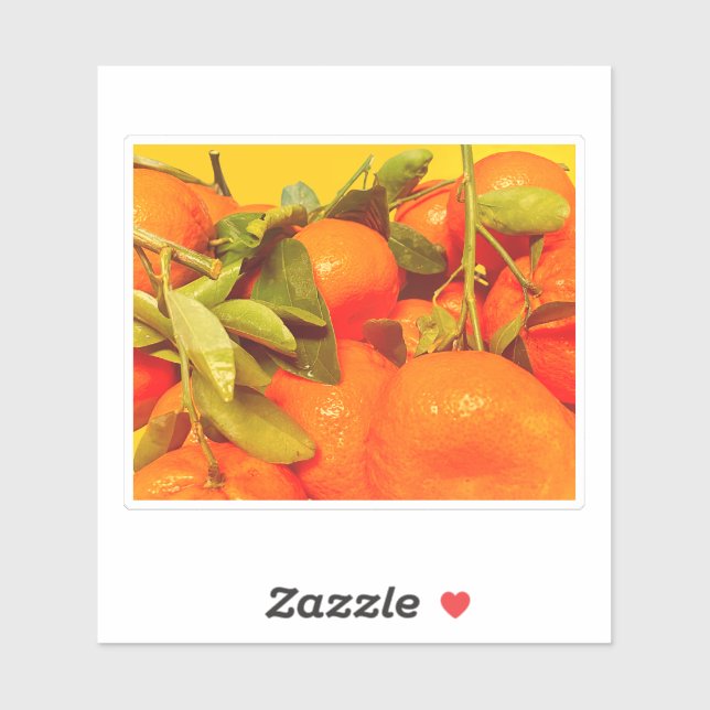 Soft Orange Fruit Aesthetic (Sheet)