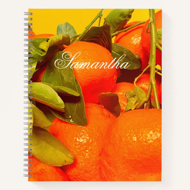 Soft Orange Fruit Aesthetic Notebook (Front)