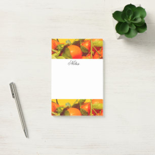 Soft Orange Fruit Aesthetic Post-it Notes
