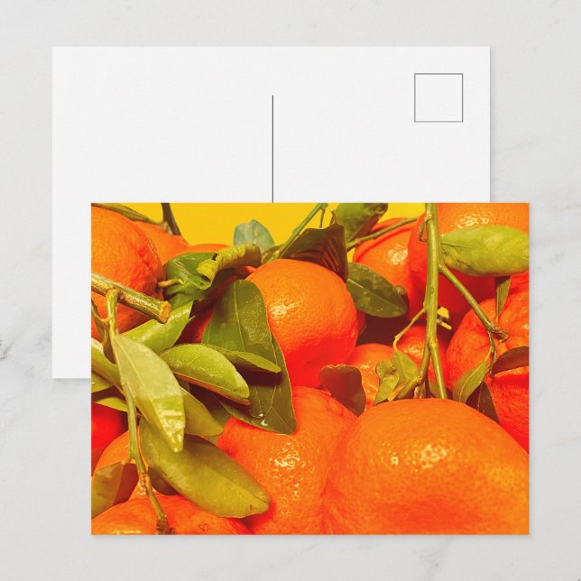 Soft Orange Fruit Aesthetic Postcard (Front/Back)