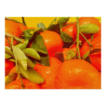 Soft Orange Fruit Aesthetic