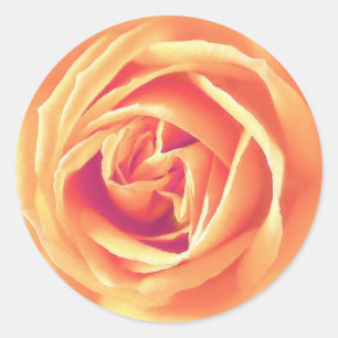Soft orange rose print classic round sticker