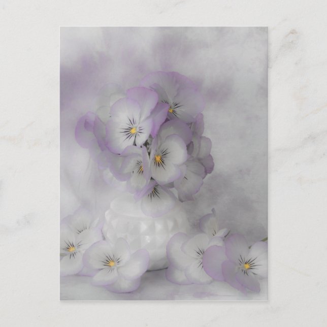 Soft Pansies Postcard (Front)