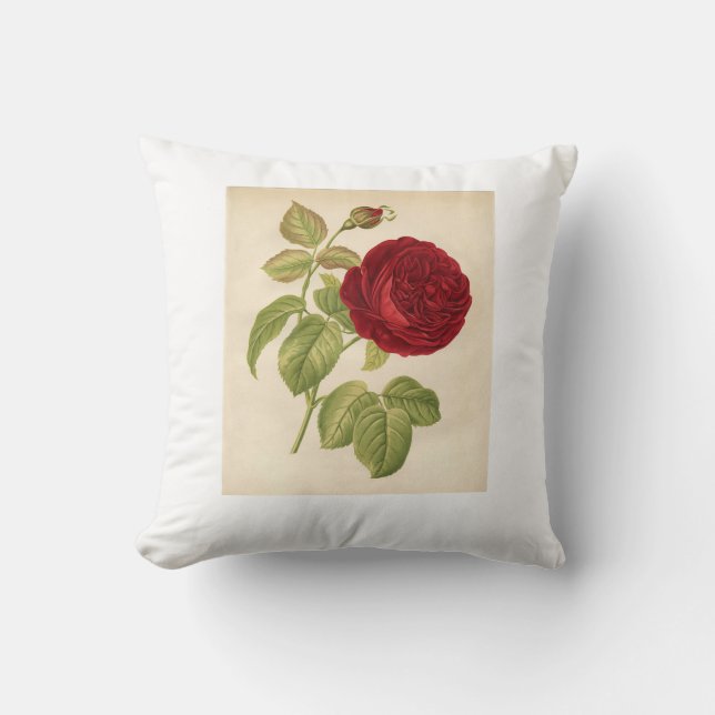 Soft pillow design with beautiful rose (Front)