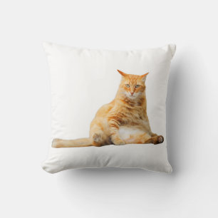 Soft pillow with a cute orange cat