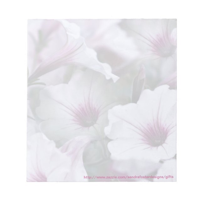 Soft Pink And White Petunias Notepad (Front)