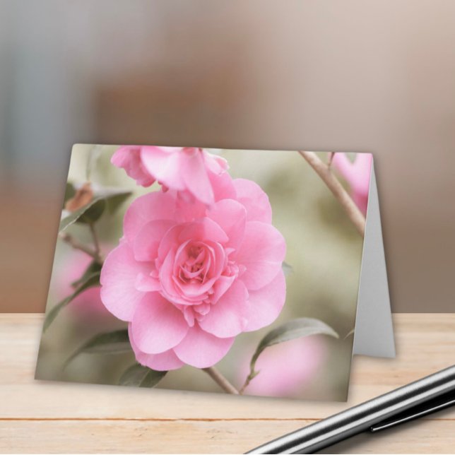 Soft Pink Camellia Flower  Note Card (Creator Uploaded)