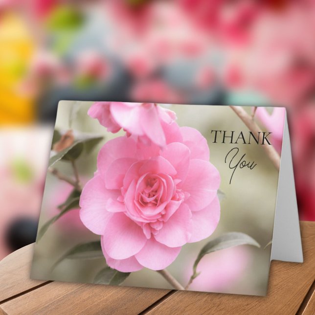 Soft Pink Camellia Flower  Thank You Card (Creator Uploaded)