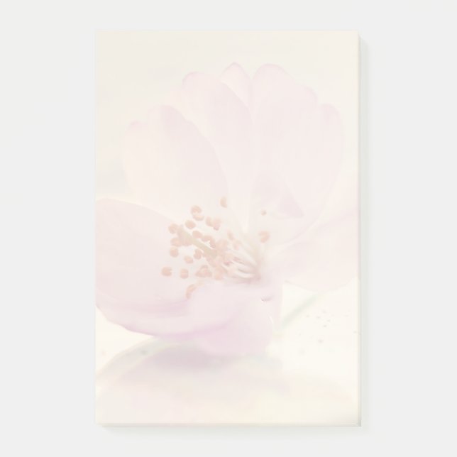 Soft Pink Cherry Blossom Flower Post-it Notes (Front)