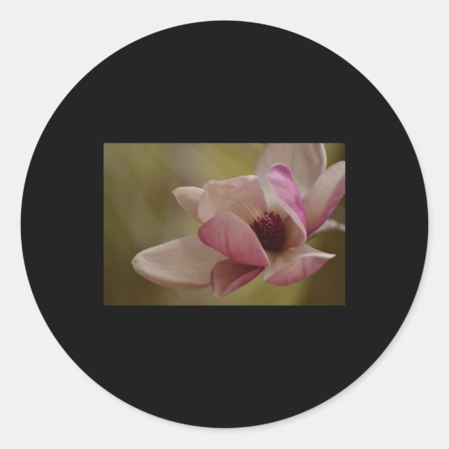Soft Pink Dreams Blooming Sticker  (Front)