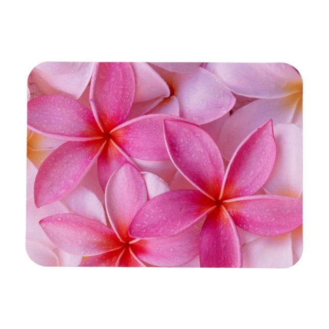 Soft Pink Floral Magnet (Horizontal)