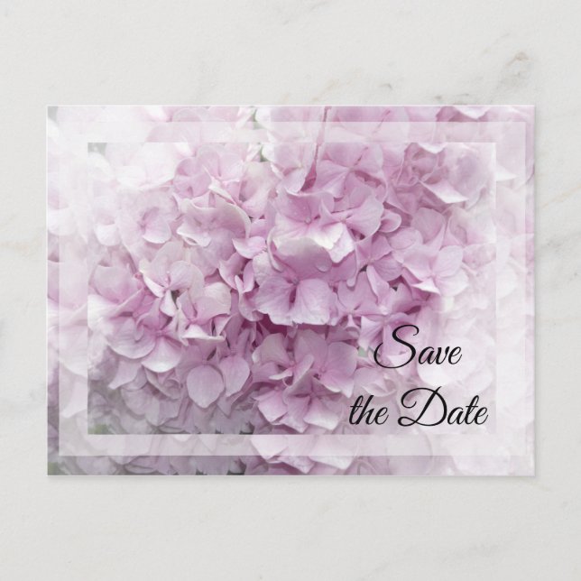 Soft Pink Hydrangea Wedding Save the Date Announcement Postcard (Front)