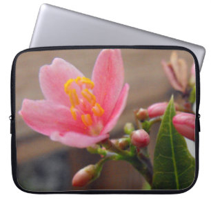 Soft Pink Jatropha Flower Laptop Sleeve