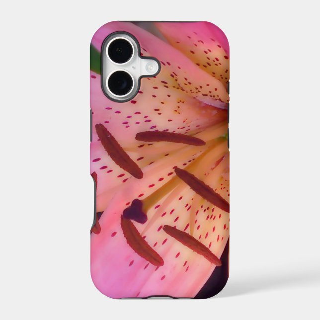Soft Pink Lily (Back)