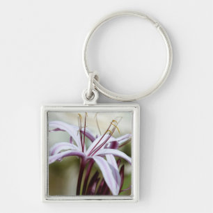 Soft Pink Lily Flower Botanical Photo Art Key Ring