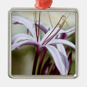 Soft Pink Lily Flower Botanical Photo Art Metal Tree Decoration