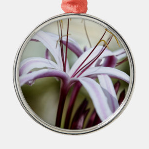 Soft Pink Lily Flower Botanical Photo Art Metal Tree Decoration