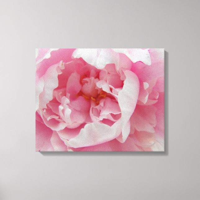 Soft Pink Peony Elegant Photograph on Canvas (Front)