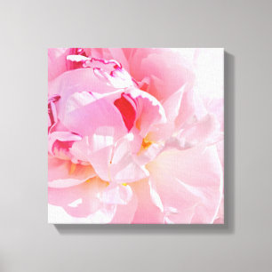 soft pink petals canvas print