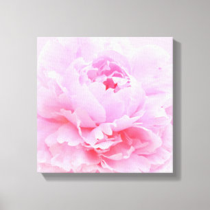 soft pink petals canvas print
