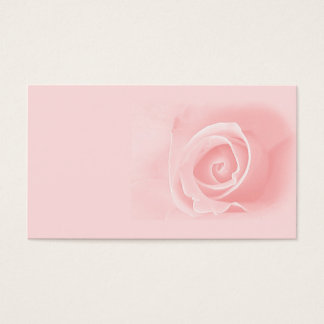 Soft pink rose