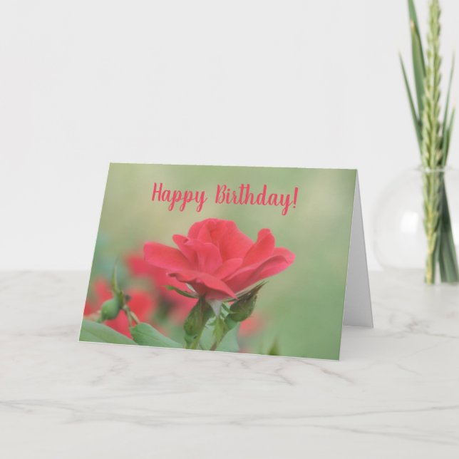 Soft Pink Rose Birthday Card (Front)