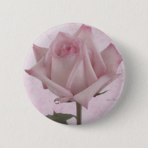 Soft Pink Rose Flower 6 Cm Round Badge