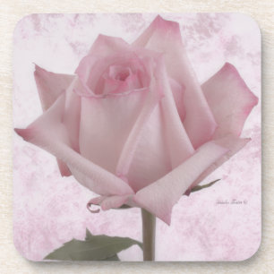 Soft Pink Rose Flower Coaster