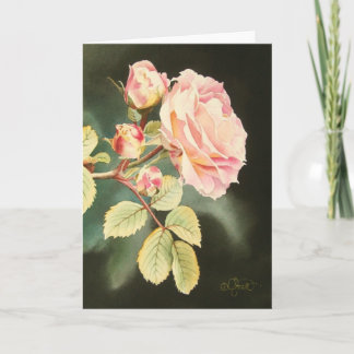 Soft Pink Rose Greeting Card