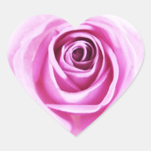Soft Pink Rose Love Flower  Heart Sticker