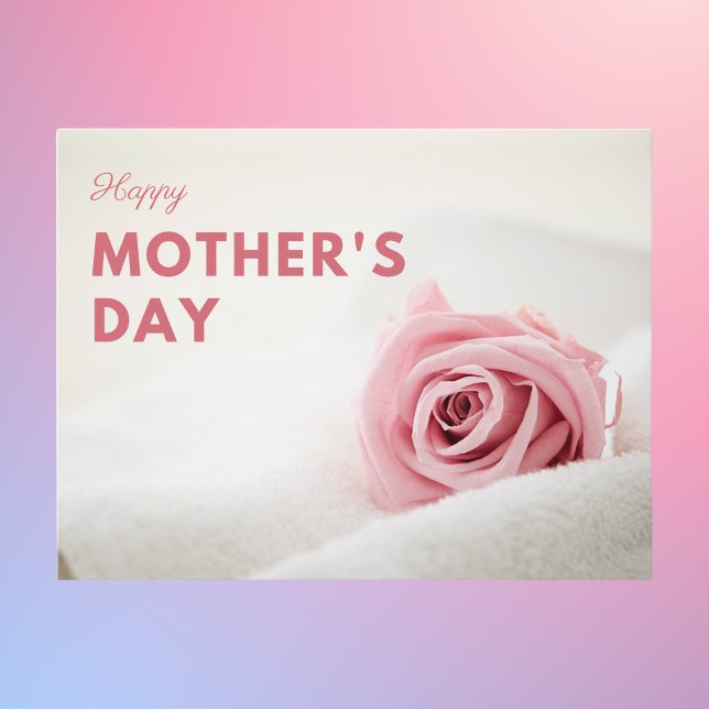 Soft Pink Rose Mother’s Day Postcard (Creator Uploaded)