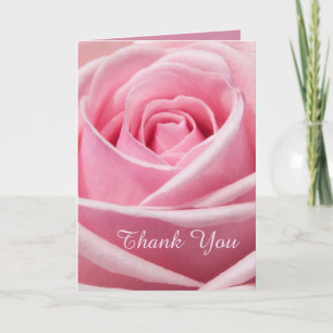 Soft Pink Rose Thank You Card