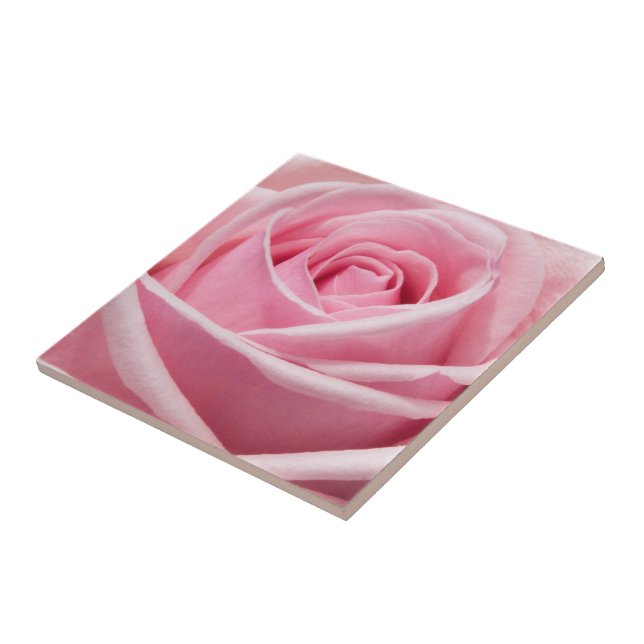 Soft Pink Rose Tile (Side)