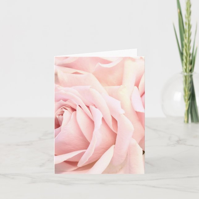 Soft Pink Roses, focuses on petals Blank Card (Front)