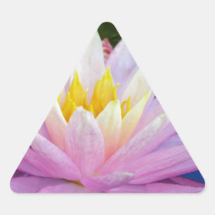 Soft Pink Waterlily Triangle Sticker