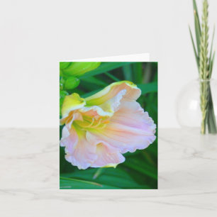 "SOFT PINK & YELLOW DAY LILY/RESEMBLES SEA SHELL" CARD