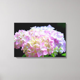 Soft pink yellow purple hydrangeas flowers canvas print