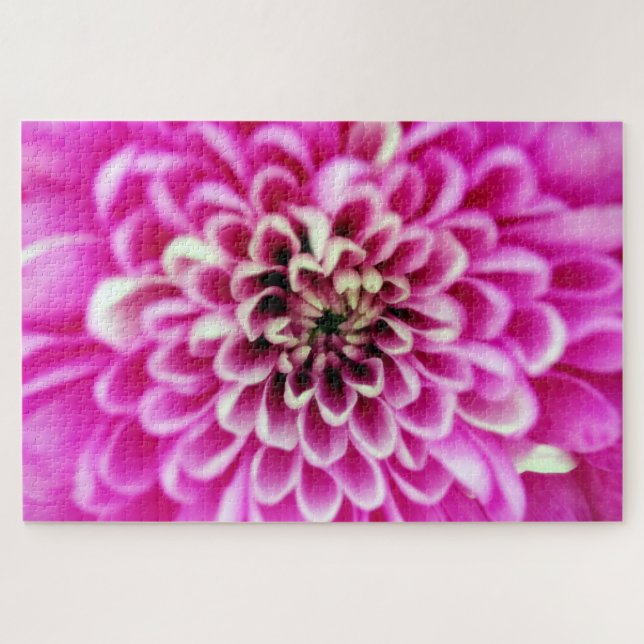 Soft Pinks Chrysanthemum Jigsaw Puzzle (Horizontal)
