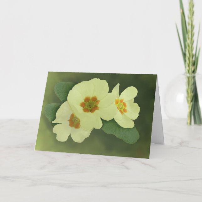 Soft Primrose Flowers Greetings Card (Front)