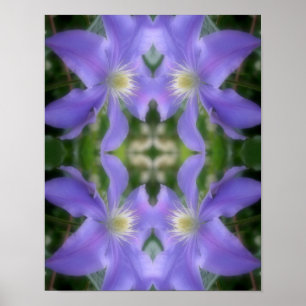 Soft Purple Clematis Flower Petals Abstract  Poster