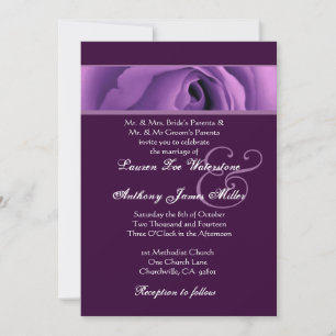 Soft Purple Rose Wedding Template H438